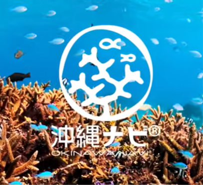 ザシーyoutube